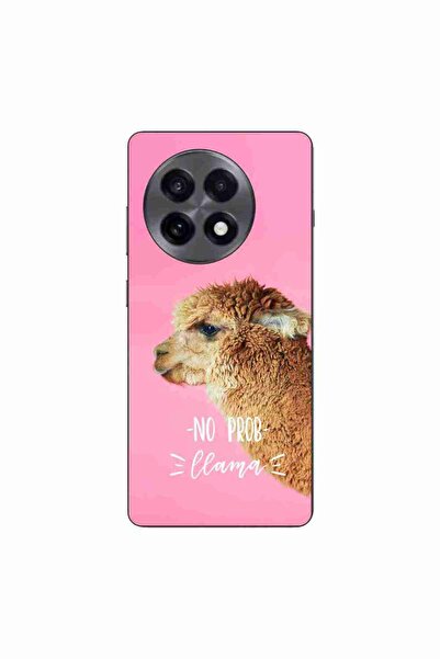 OEM Θήκη συμβατή με OnePlus 13R Σιλικόνης Gel TPU με σχέδιο μηνύματος  "No Pr...