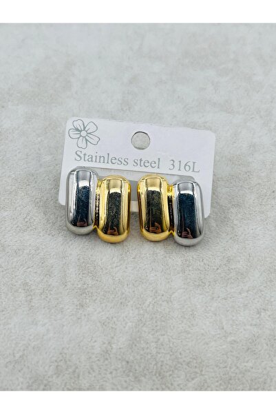 Bozhi Earrings Steel Silver Daily Elegance