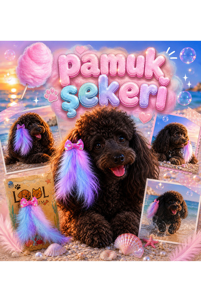 LOOL PREMİUM Pamuk şeker tüylü toka köpek tokası