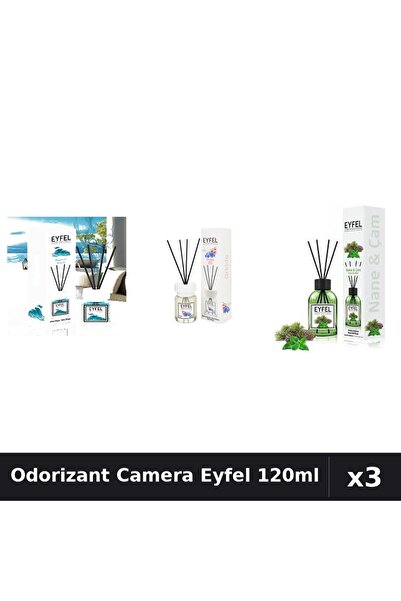 Eyfel Top Bottom Set of 3 Room Air Fresheners with Reeds - Ocean, Orchid, Pin...
