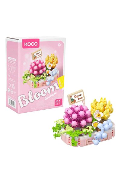 Koco Bloom Boutique Karışık Sukulent 249 Parça