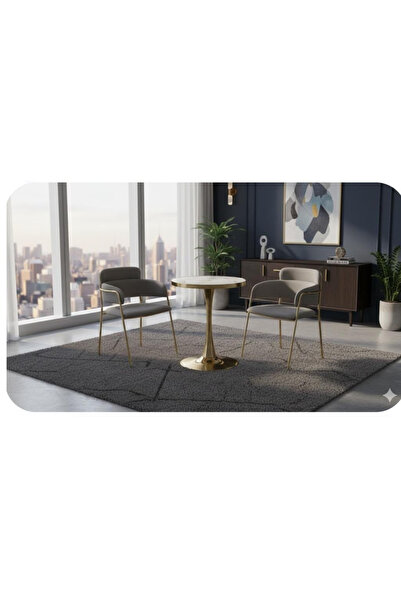 luxino Elegant 3-piece cafe set two chair in a gray color and a round table w...
