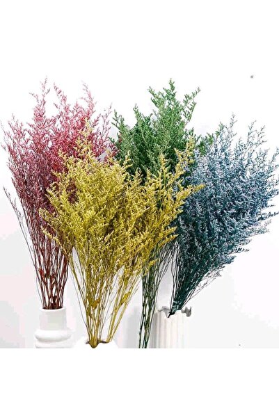 OEM Limonium Uscat Nature