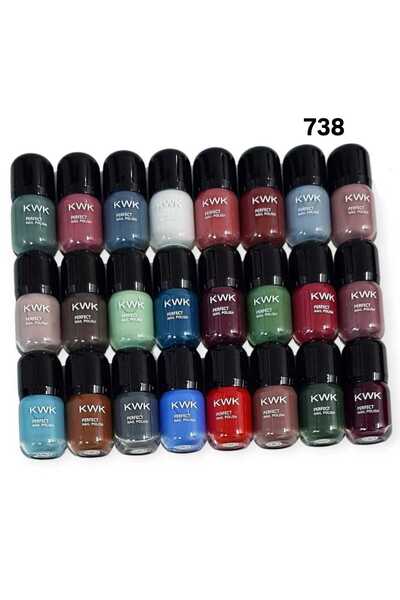 flor beauty Manicure Shiny 24 Colors