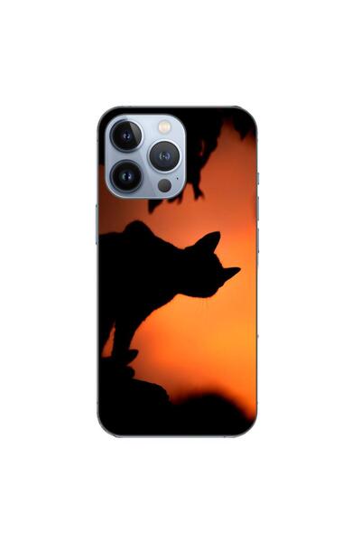 OEM Калъф, съвместим с Apple iPhone 13 Pro, силиконов гел TPU, с десен Хелоуи...