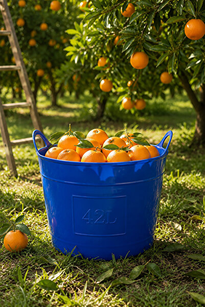 Akyüz Plastik 🧺42 Litre Esnek Plastik Hasat Sepeti 45x42 cm | Meyve, Sebze v...