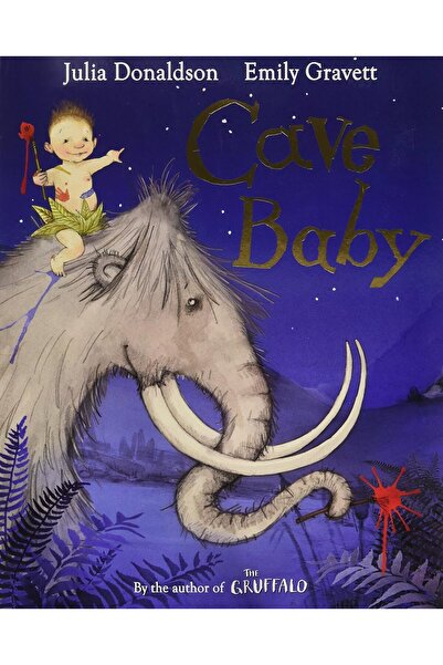 Macmillan Children'S Books Julia Donaldson Cave Baby