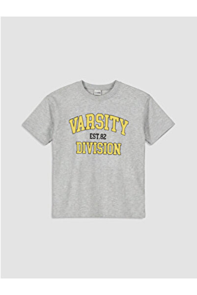 LC Waikiki New Season Gray Crew Neck Printed Boys' T-Shirt
