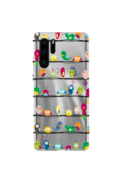Other Huawei P30 Pro birds Transparent Silicone TPU Θήκη