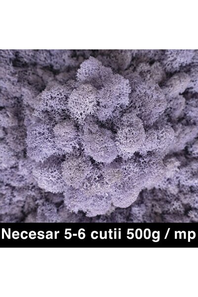 Roberto Rossi Licheni curatati si fara radacina conservati 500g NET, calitate...