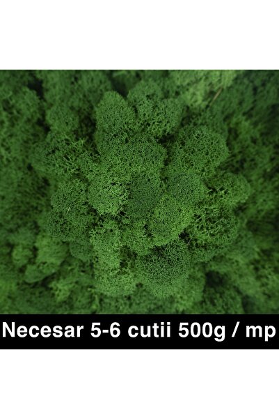 Roberto Rossi Licheni curatati si fara radacina conservati 500g NET, calitate...