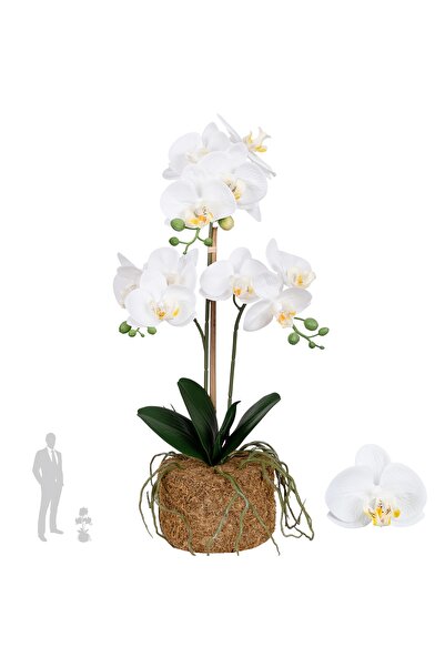 Roberto Rossi Orhidee artificiala alba cu aspect H53 cm cu 2 tulpini si 3 ram...
