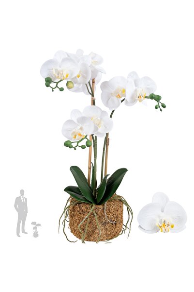 Roberto Rossi Orhidee artificiala alba cu aspect H53 cm cu 3 tulpini