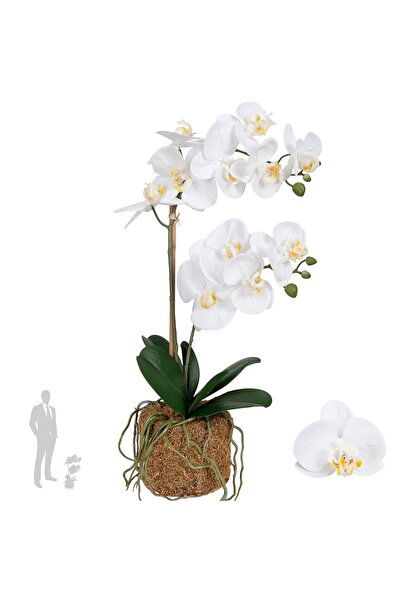 Roberto Rossi Orhidee artificiala alba cu aspect H56 cm cu 2 tulpini