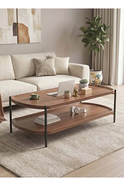 Taimi 2-Tier Wooden Coffee Table with Metal Legs, Modern Center Table, Brown,...