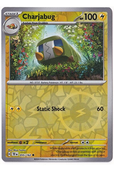 Pokemon شارجابوج [ريفيرس هولو] 055/162 - القوات المؤقتة - بطاقة (لون النعناع)