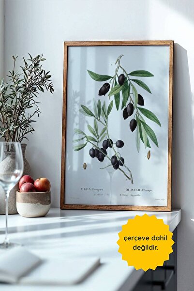 fuart.co Zeytin Dalı Mutfak Posteri, Çerçevesiz Poster, Mutfak Dekoru, Duvar ...