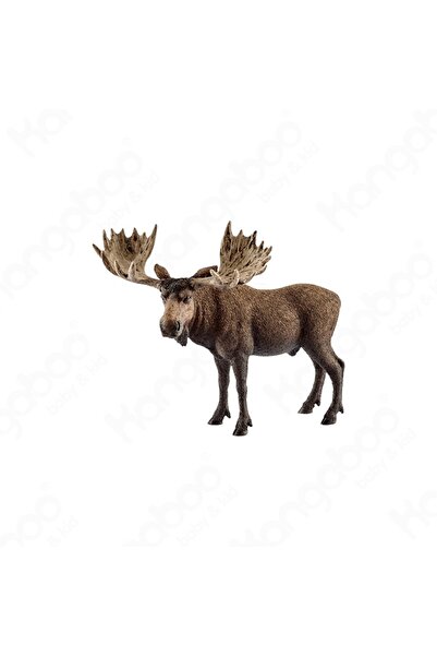 SCHLEICH Taur de cerb