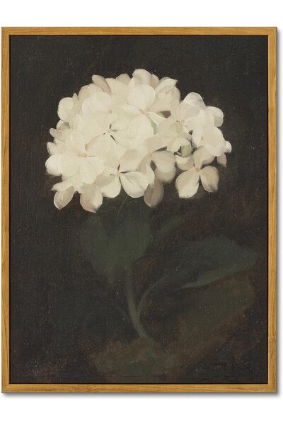 ALAYRA International Framed White Hydrangea Floral Canvas Wall Art Still Life...
