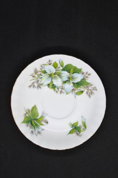 Royal Albert Trillium Bone China England Antique Cup Saucer 13.5 cm