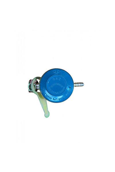 OEM Regulator gaz pentru butelie 300 mm, presiune joasa 30 mbar, debit 1.5 kg...