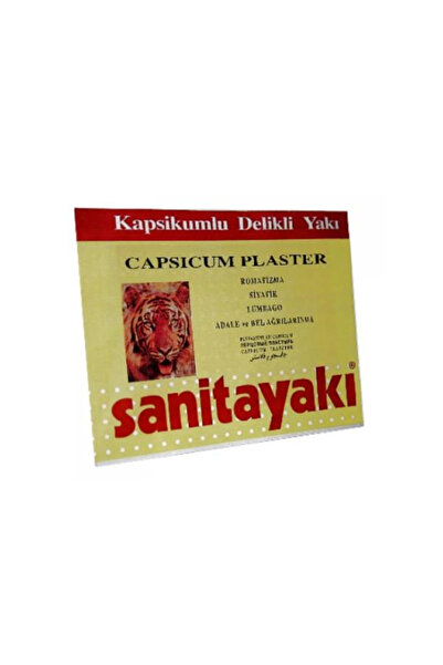 Türdav Yayınları Plasture Antireumatic Sanitayaki 17 x 12 cm Turda