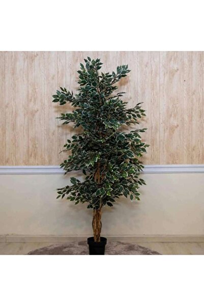 PAN HOME Artificial Ficus Tree H205cm - Green