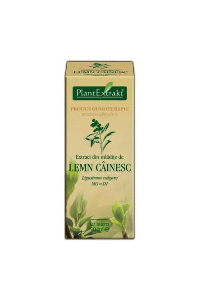 Plantextrakt Extract Mladite de Lemn Cainesc Plantextrakt, 50 ml