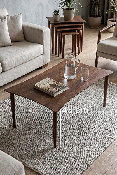 brahim %100 MDF Orta Sehpa Modern Arel Ceviz Renk Dikdörtgen Salon Sehpası Mi...