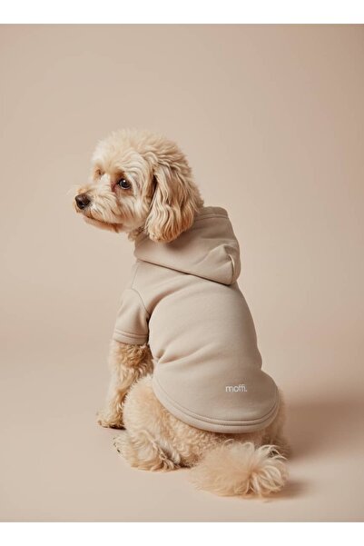 Kapüşonlu Kedi Köpek Kıyafeti Sweatshirt Hoodie Evcil Hayvan Giysisi