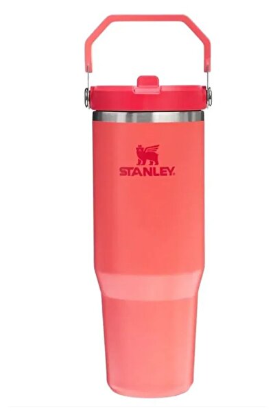 Stanley The IceFlow™ Flip Straw 2.0 Tumbler 0.89L / 30oz Renkli Termos 0,89 LT