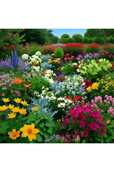 121 Mixed Color Zinnia Seeds - 100% Vibrant Perennial Flowers for the Garden,...