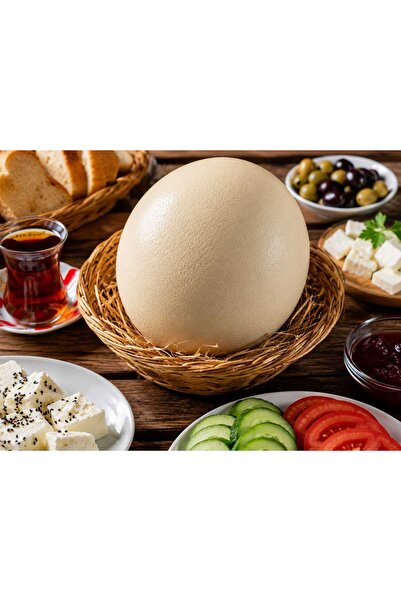DEVU Ham Devekuşu Yumurtası
