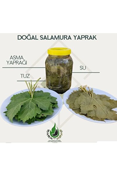 HAZEK KADIN KOOPERATİFİ HAZEK ASMA YAPRAĞI