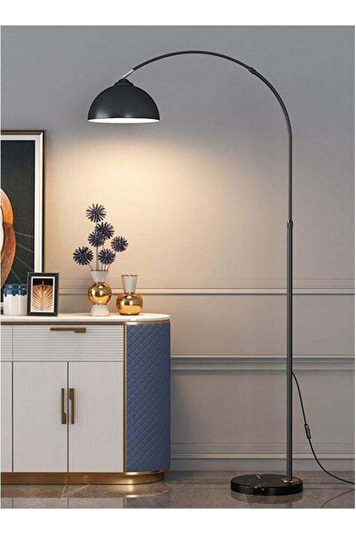 Homestar Minimal Modern Living Room Bedroom Floor Lamp With Remote Control Light