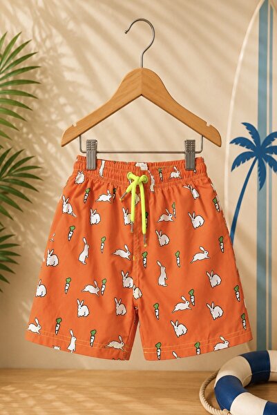 DeKuBaby New Season Patterned Quick-Dry Boys' Shorts Swimwear - Children's Se...