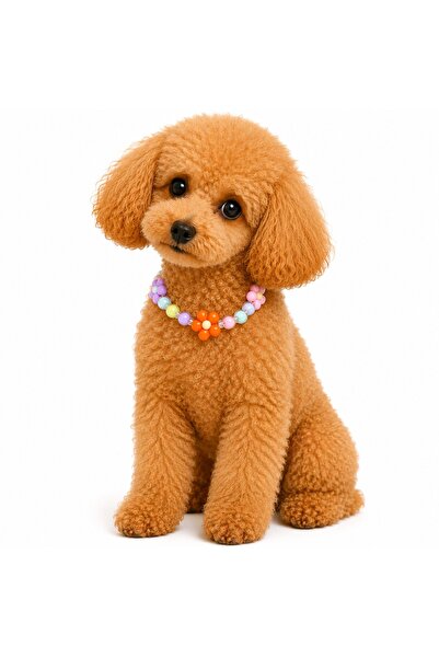 Dolce Pets Kedi ve Köpek Kıyafeti Çiçek Desenli Kolye