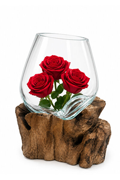 Generic Modern Glass Vase with Luxurious Wood Base - Mini Fish Tank and Styli...