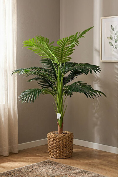 co arma Small palm tree, 110 cm high, wicker basin