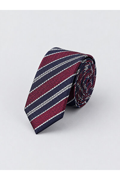 Bisse Burgundy Silk Tie