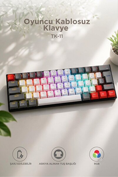 Başkenttekno Oyuncu Klavyesi Rgb Işıklı Mekanik Şarjlı Kablosuz Blue Switch Q...