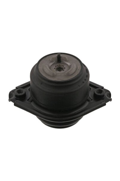FEBI BILSTEIN Suport Motor Fata Dreapta/Stanga Hidraulic Mercedes Gl (x164) M...