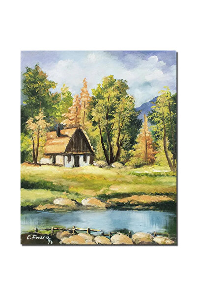 artnova Tablou pictat manual peisaj din natura, Calmitate, 50x40cm ulei pe pa...