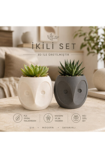 SYLVA CONCEPT İkili Set Baykuş Tasarım Sukulent Saksısı – 3D Baskı PLA Doğal ...