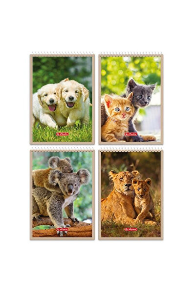 Herlitz Caiet spiralat Animals A6, 40 file, in carouri, multicolor, 10 buc
