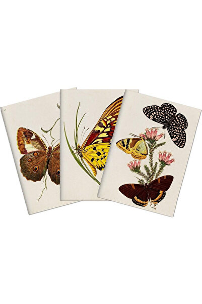 Skona Ting Set 3 caiete A6 multicolor 32 pagini liniate