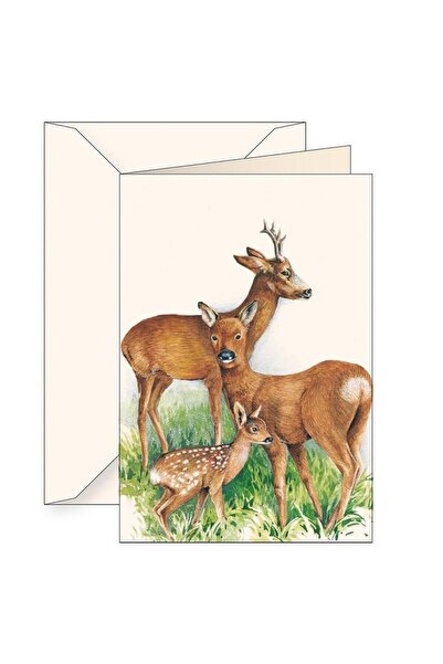 Tassotti Caiet B6 multicolor 12.3x18.5cm 200g/m2 set