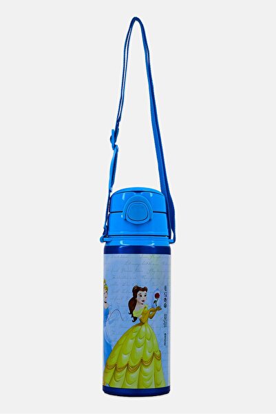 Disney Princess Dream Big V2 Water Bottle, Multicolor