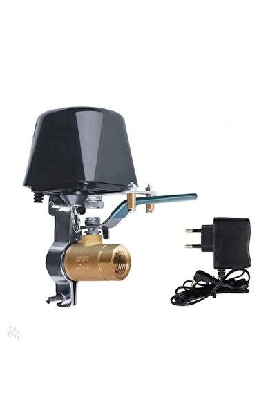 OEM Manipulator inteligent de robinet de apă sau gaz Wifi, Tuya