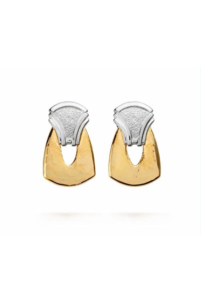 CHARMLUCKY Steel Fany Earrings